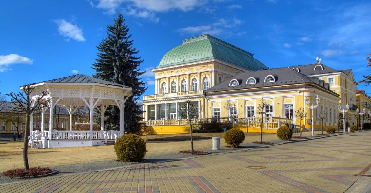 Penzion U Modreho Slona Frantiskovy Lazne Exterior photo
