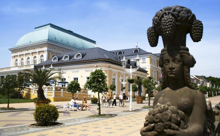 Penzion U Modreho Slona Frantiskovy Lazne Exterior photo