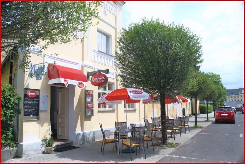 Penzion U Modreho Slona Frantiskovy Lazne Exterior photo